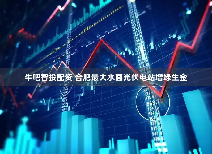 牛吧智投配资 合肥最大水面光伏电站增绿生金